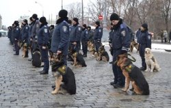 Милиция Украины переходит в режим "превентивного удара"