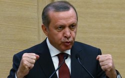 В Турции карикатуристов осудили за оскорбление Эрдогана