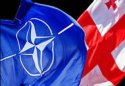Грузия имеет все для подготовки вступления в НАТО – зам генсека альянса