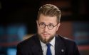 Премьер представил кандидатуру Савицкаса в министры экономики  