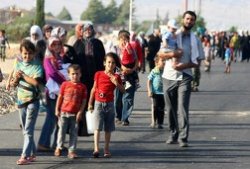 Турция приютила около 200 тыс беженцев из Кобани